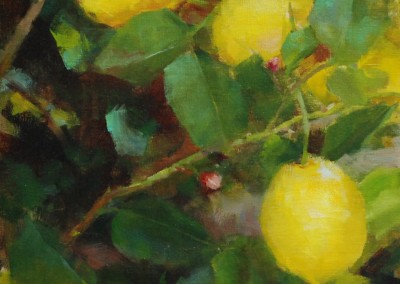 Kathy Anderson - "Three Lemons", 12x9, 1900