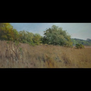 Trish Beckham - "Tuscawilla Preserve", 18x36, 4000